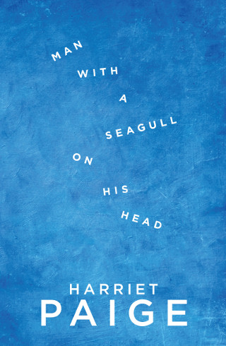 The cover of 'Man with a Seagull on His Head' by Harriet Paige.