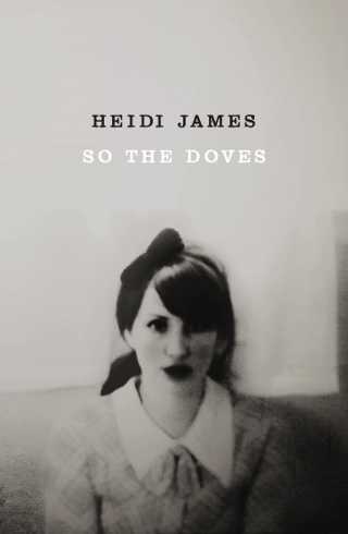The cover of 'So The Doves' by Heidi James.