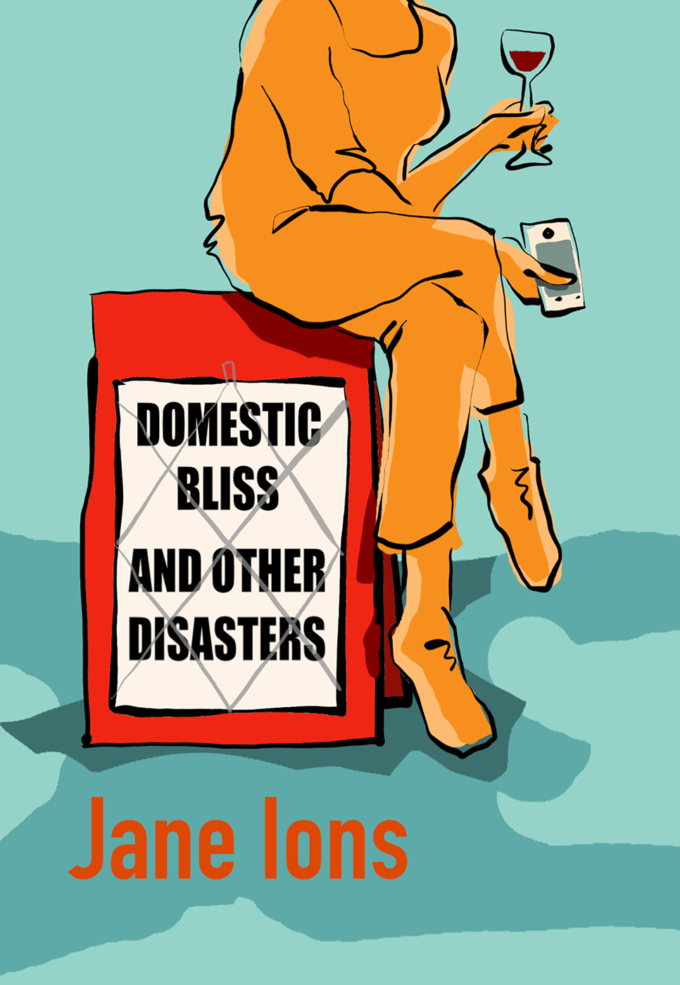 Domestic Bliss and Other Disasters by Jane Ions (Paperback)